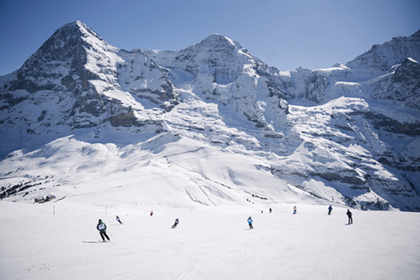 Ski for Kids 2025 1 0016 Kopie