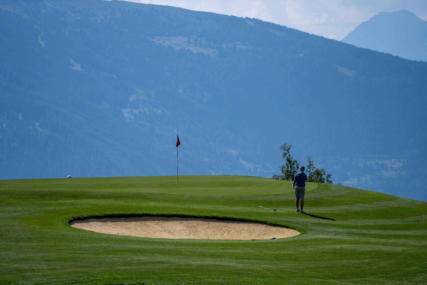 Golf Freude Herrscht 50